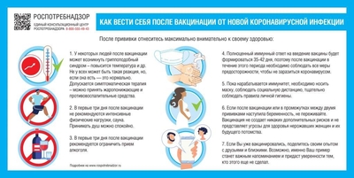 0311059kov.jpg